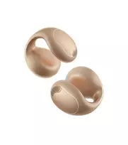 Ausinės Anker Soundcore C40i Gold