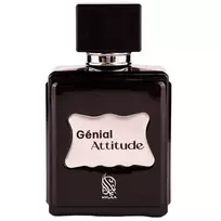 Vyriški kvepalai NYLAA Genial Attitude EDP spray 100ml