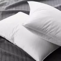 Pūkinė pagalvė su tiku EXCLUSIVE ULTRA  (žąsų 90%-pūkų, 10%-plunksnų), 70x70 cm (1 kg) / 1 vnt (70x70 cm)