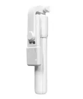 Quik QS-622 Selfie Stick with LED Lamp