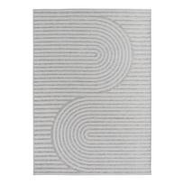 Pilkos spalvos lauko ir vidaus kilimas 80x150 cm Desert 1301 – Ayyildiz Carpets
