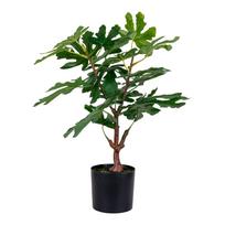 Dirbtinis augalas (aukštis 60 cm) Fig – House Nordic