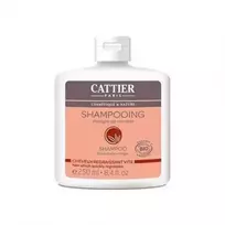 Cattier Paris Cattier riebių plaukų šampūnas 250ml