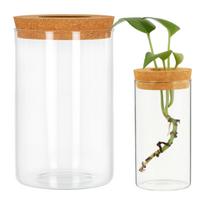 Savaime laistomas gėlių vazonas - 10.2 cm - baltas - automatinis augalų laistymas