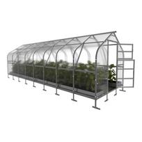 Šiltnamis KLASIKA Drop - 4 mm storio kanalinis polikarbonatas - 2,5 x 8 m (20 m²)