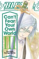 Bleach: Cant Fear Your Own World, Vol. 3