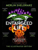 Entangled Life (The Illustrated Edition): How Fungi Make Our World