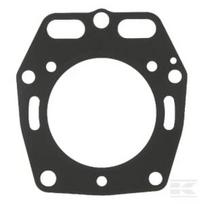 Cilindro galvutės tarpinė Kawasaki FD440V 110042104
