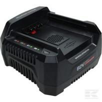 Akumuliatorių įkroviklis 220V B&S 1760264