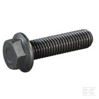 Varžtas M12x45 Verbusripp E07719ASM
