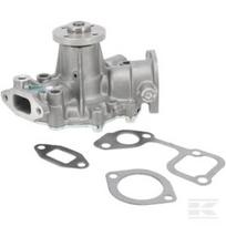 Vandens siurblys Briggs & Stratton