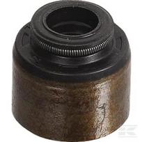 Vožtuvo tarpinė Briggs & Stratton