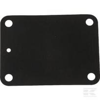 Membrana Briggs & Stratton