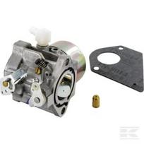 Karbiuratorius Briggs & Stratton 495778 / 494883