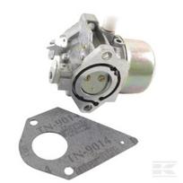 Karbiuratorius Briggs & Stratton 692684 / 495780