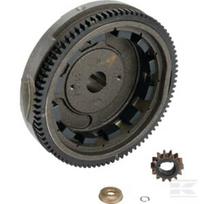 Smagratis Briggs & Stratton