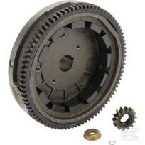 Smagratis Briggs & Stratton