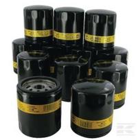Alyvos filtrai 12 vnt. Briggs & Stratton 491056