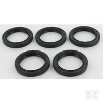 Alyvos sandarikliss 5 x 291675S Briggs & Stratton