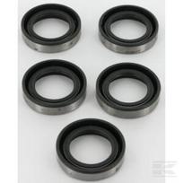 Alyvos sandarikliss 5 x 391483S Briggs & Stratton