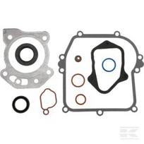 Variklio tarpinės komplektas Briggs & Stratton