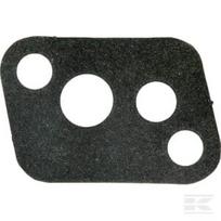 Karbiuratoriaus tarpinė Briggs & Stratton