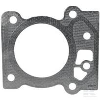 Cilindro galvutės tarpinė Briggs & Stratton