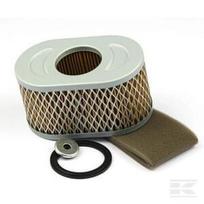 Oro filtras Briggs & Stratton