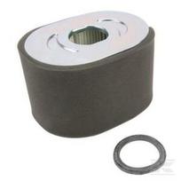 Oro filtras Briggs & Stratton