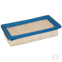Oro filtras Briggs & Stratton