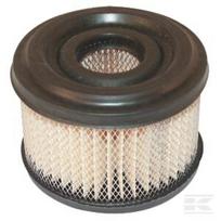 Oro filtras Briggs & Stratton
