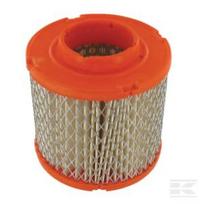 Oro filtras Briggs & Stratton