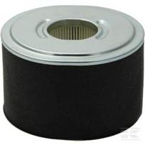 Oro filtras Briggs & Stratton