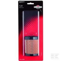 Oro filtras Briggs & Stratton Series 3 (M21)