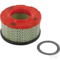 Oro filtras Briggs & Stratton