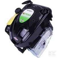 Variklis Etesia 5,2 AG vertikalus velenas – ET37946