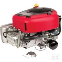 Variklis, vertikaliu velenu, 17.3 HP, 4175 serija, Briggs & Stratton