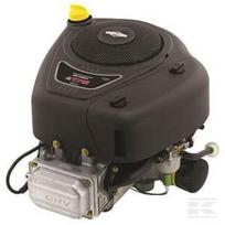 Variklis, vertikaliu velenu, 18.5 HP, Briggs & Stratton