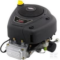 Variklis, vertikaliu velenu, 12.3 HP, Briggs & Stratton