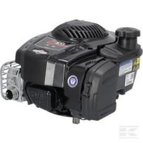 Variklis, vertikaliu velenu, 5.4 HP, 675 Exi serija, Briggs & Stratton