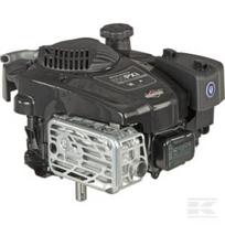 Variklis, vertikaliu velenu, 5.9 HP, 850E serija, Briggs & Stratton