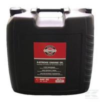 Variklio alyva 25 l mineralinė SAE 30W Briggs & Stratton