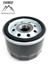Alyvos filtras Briggs & Stratton traktoriukui