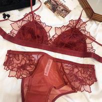 Prancūziškas moteriškas apatinio trikotažo rinkinys Seksualus itin plonas liemenėlių rinkinys nėrinių siuvinėjimas Bralette Comfort Triangle Cup liemenėlės tinklinis kvėpuojantis apatinis trikotažas S raudona