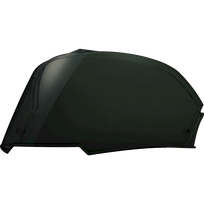 LS2 SKYDELIS FF900 LIGHT TINTED