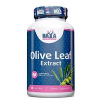 Haya Labs Olive Leaf  Extract 60 kaps. (Alyvuogių lapų ekstraktas)
