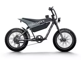 Elektrinis dviratis Himiway C5 Grey