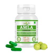 Morsan Nutraveda Amla (Emblica officinalis) Kapsulės - 60 Veg. Kapsulė x 500 mg. | Daug vitamino C imunitetui, odai (1 pakuotė po 60 kapsulių)