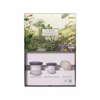 Rinkinys Payot: veido kremas, 50 ml + paakių kremas, 15 ml + guasha