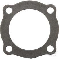 Cilindro galvutės tarpinė, AGW10253